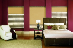 Allure-Transitional-Shades-Lafayette2